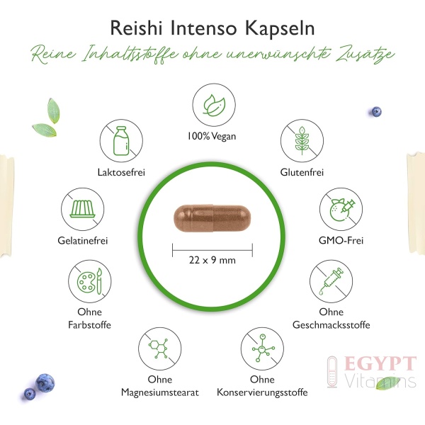 Vit4ever® Reishi Intenso Mushroom – 180 Capsules - Image 3