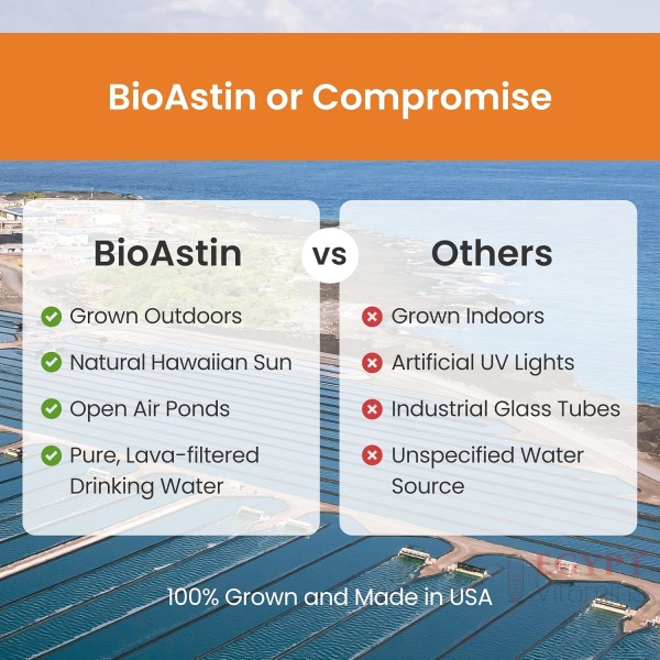⁦Nutrex Hawaii BioAstin Hawaiian Astaxanthin - 4mg, 270 Softgels⁩ - الصورة ⁦6⁩