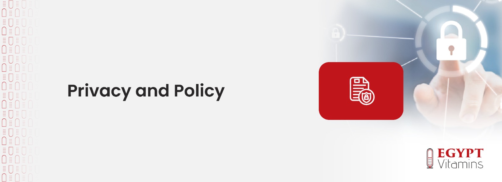 Privacy Policy