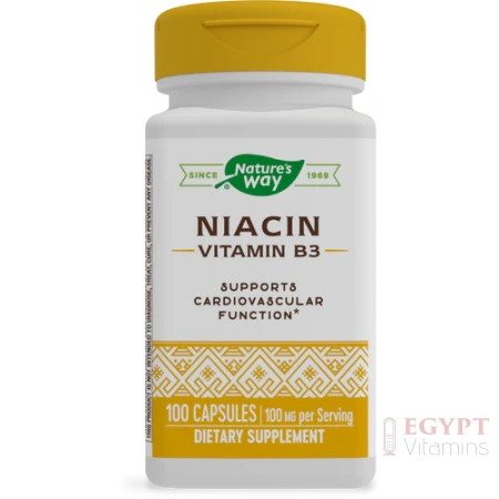 Nature's Way, Niacin, 100 mg, 100 Capsules