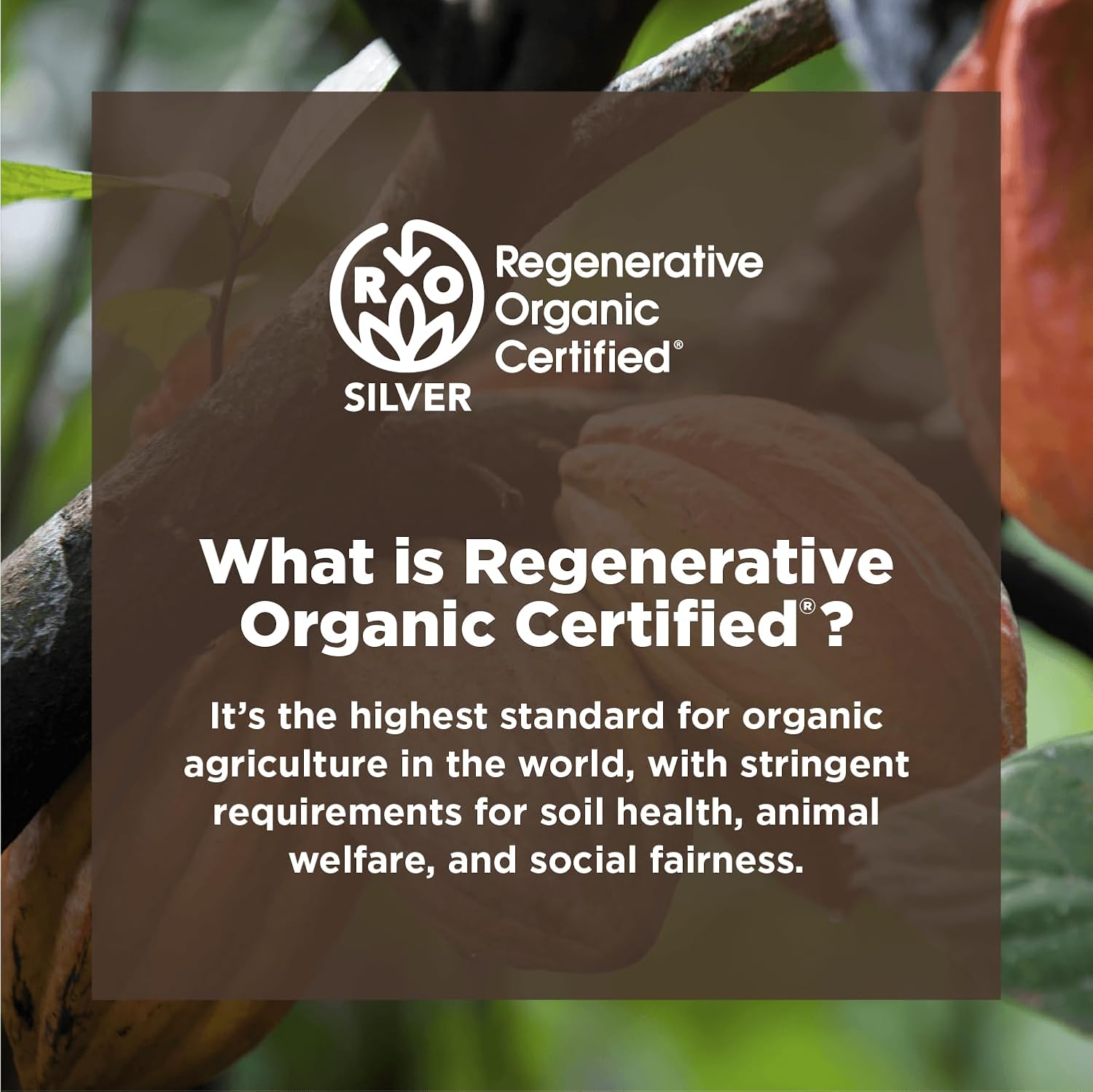 Navitas Organics Cacao Powder | Organic & Fairtrade | 24oz Bag, 113 Servings - Image 5