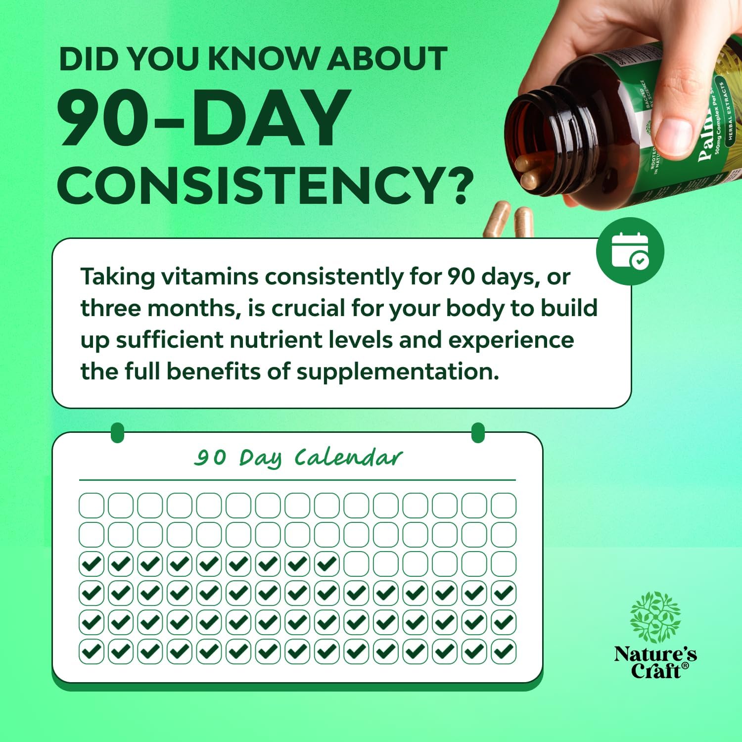 مستخلص البلميط المنشاري 500 مجم لدعم الشعر والبروستاتا | 200 كبسولة - Image 6