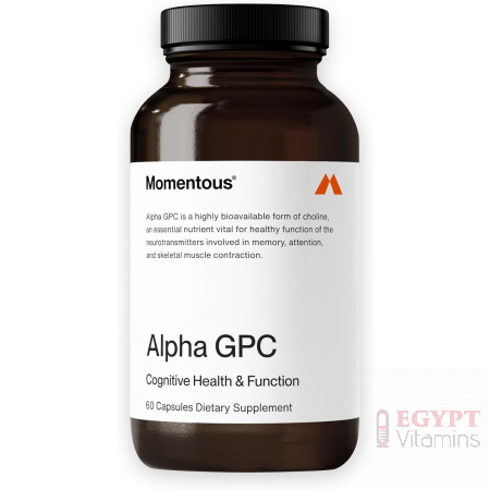Momentous Alpha GPC Supplement - 60 Capsules